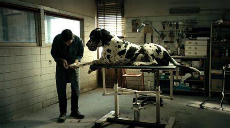 dogman_1.jpeg dogman_1.jpeg