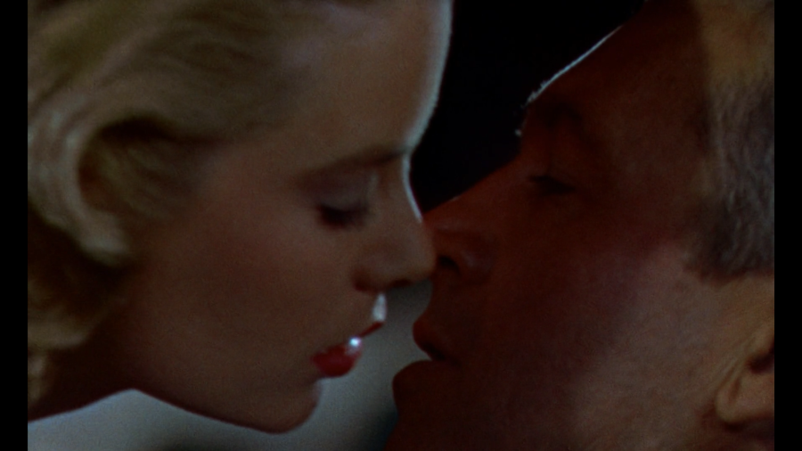 rear_window-1.png rear_window-1.png