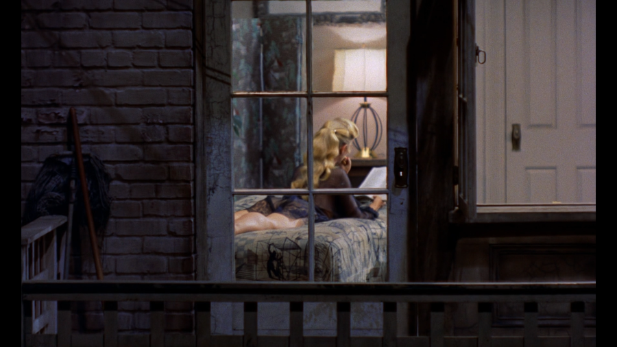 rear_window-5.png rear_window-5.png