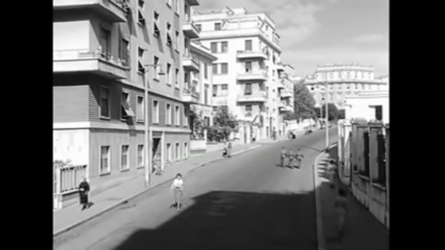 pappagalli-3.png pappagalli-3.png