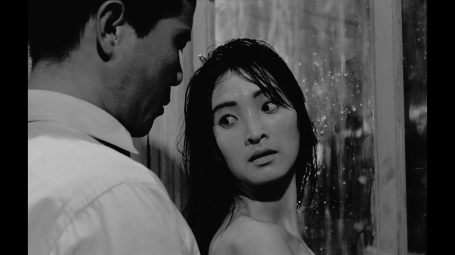 the_housemaid_1960-2.png the_housemaid_1960-2.png