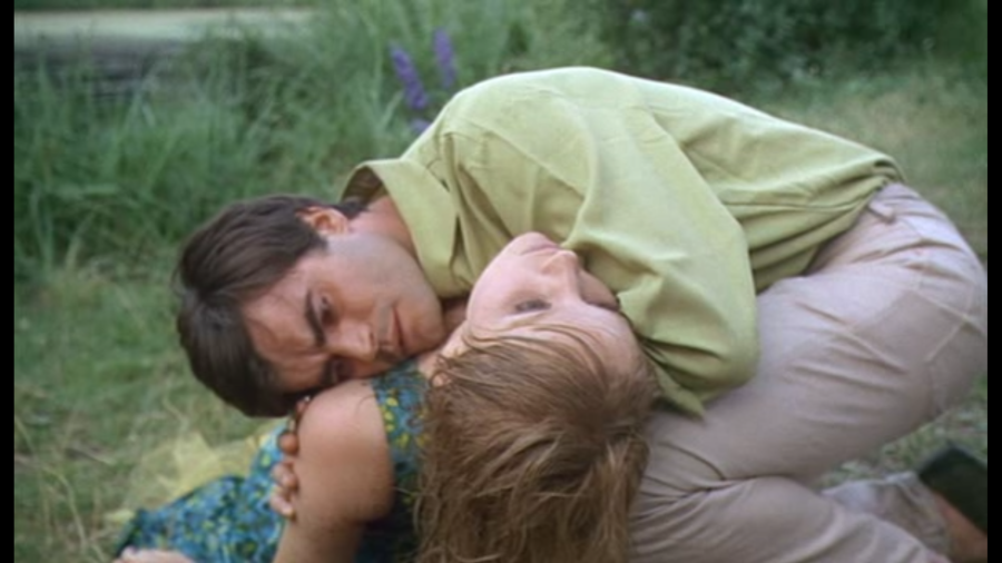 varda_bonheur_6.png varda_bonheur_6.png