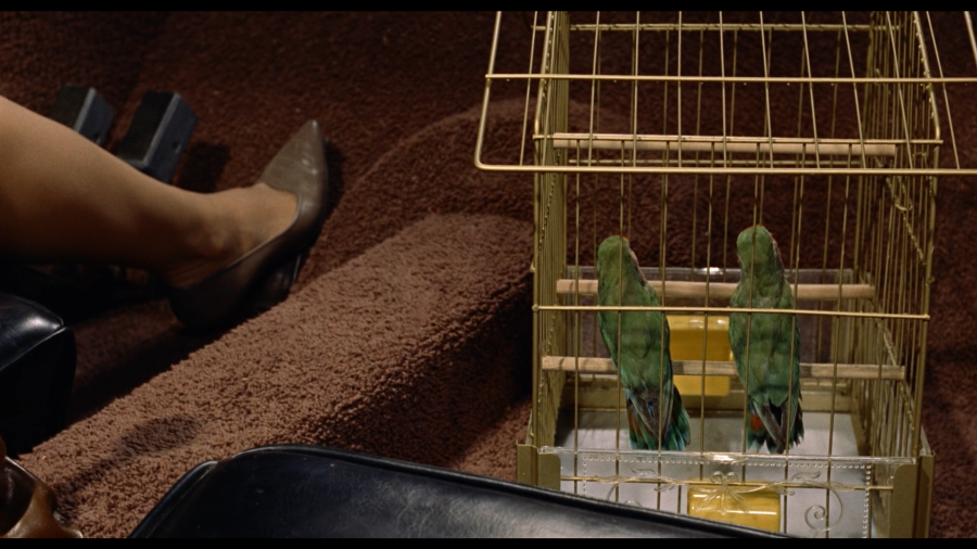 the_birds-3.png the_birds-3.png