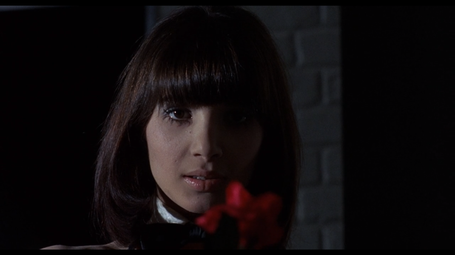 cercle_rouge_9.png cercle_rouge_9.png
