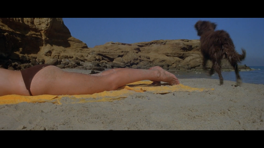 mad_max-6.png mad_max-6.png