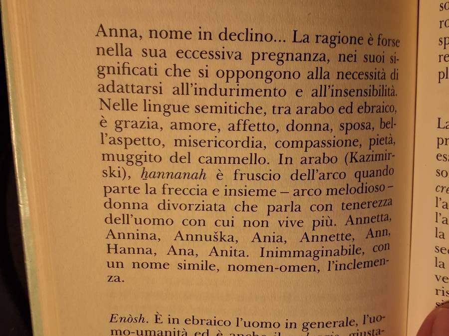anna_ceronetti_pensieri_del_te.jpg anna_ceronetti_pensieri_del_te.jpg