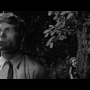 bunny_lake-7.png