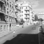 pappagalli-3.png