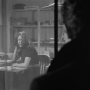 live_by_night-4.png