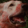 whitedog4.png