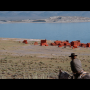 high_planes_drifter-3.png