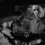live_by_night-1.png