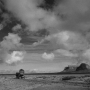 stagecoach-5.png