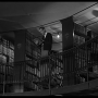 anatomy_murder-3.png