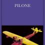 pilone.jpg