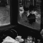 unknown_woman-3.png