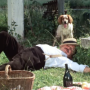 la_maison_des_bois_iii_2.png