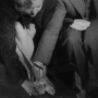 39_steps-3.png