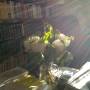 img_20200519_082903.jpg