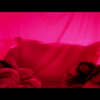 suspiria_2.png