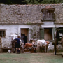 la_maison_des_bois_v_1.png