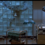 the_fly-6.png