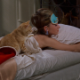 breakfast_tiffany-2.png